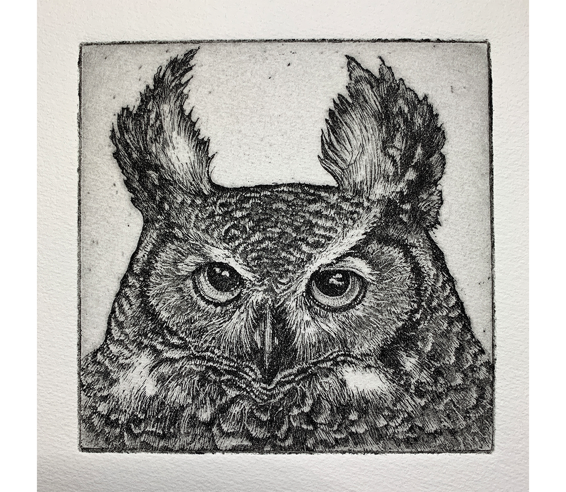 Wisdom - Kathy Anderson